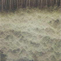 „Mystic Landscape, #2“ 1998